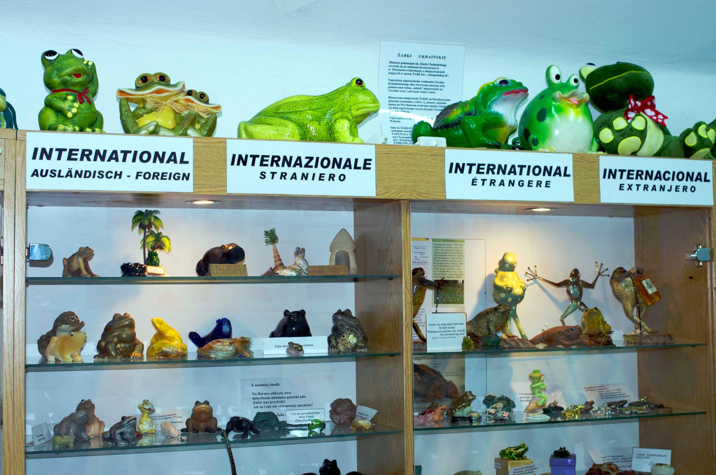Wystawa w (Mini) Muzeum Żaby