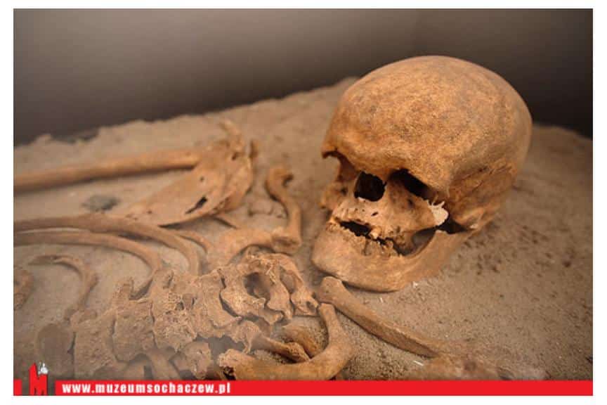 Wystawa „Przeszłość w ziemi ukryta”