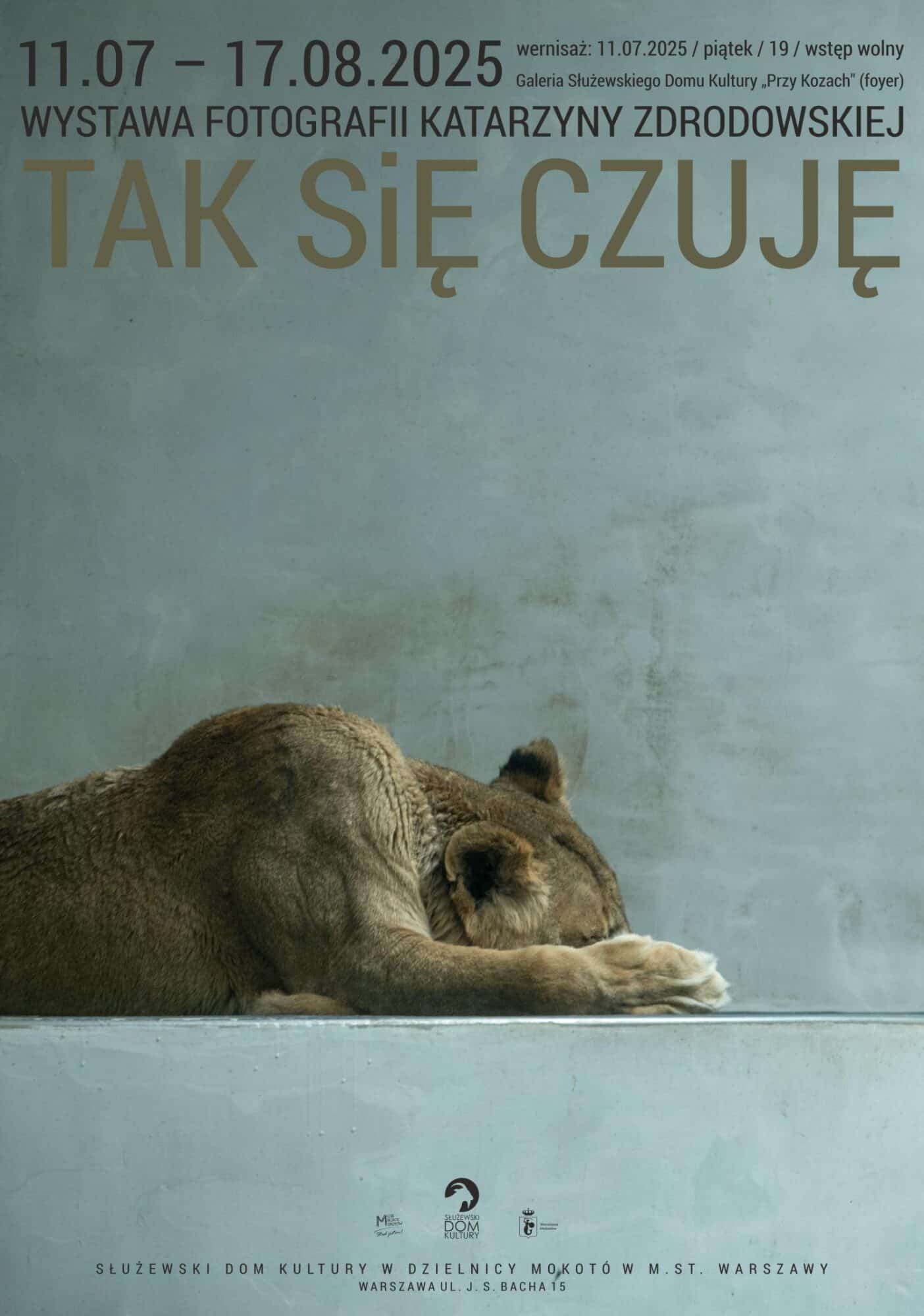 Wystawa fotografii Katarzyny Zdrodowskiej „Tak się czuję”