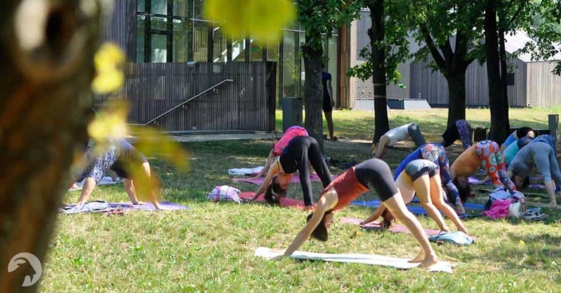 Joga w parku – niedzielne południe z naturą