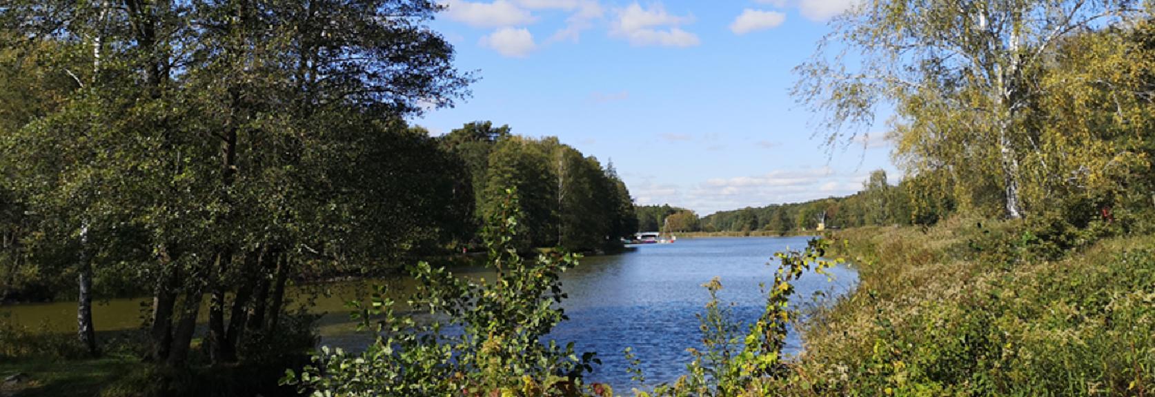 Ulicami Piaseczna. Spacer miejski i podmiejski – Zalesie Górne